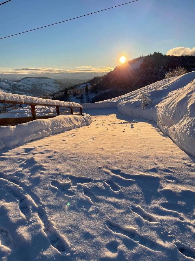 Appartamento Le Cocon D'Emma La Bresse Esterno foto